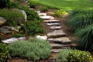 a stone pathway in a backyard